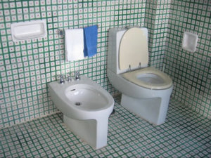 A home installation of a toilet and bidet