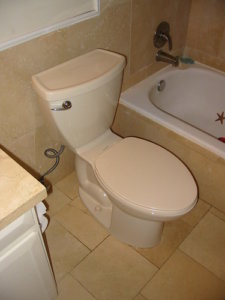 Newly Installed Toilet