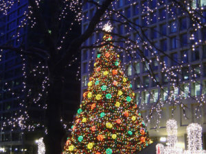 Christmas Tree Chicago