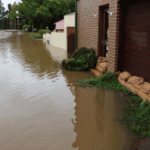 Zoeller vs Wayne Sump Pumps Comparison a flooded street with a building and a dog lying on the ground