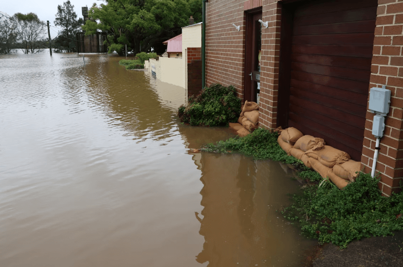 a flooded street with a building and a dog lying on the ground